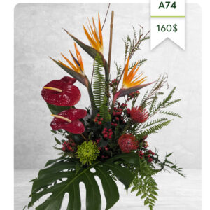 Arrangement funéraire A-74