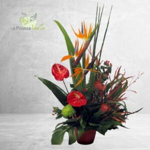 Arrangement funéraire A-74