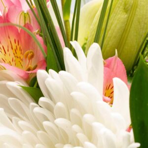 Choix du fleuriste fêtes des mères