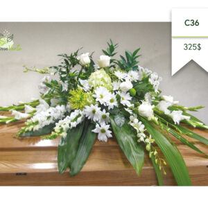 Coussin de cercueil C-36