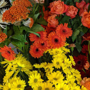 Abonnement 5 bouquets