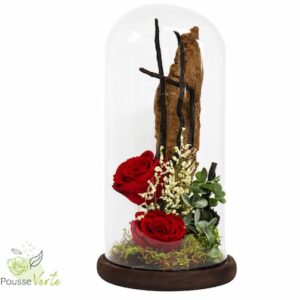 Rose éternelle dôme support en bois