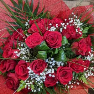 Les 24 roses