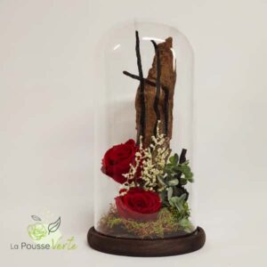 Rose éternelle dôme support en bois