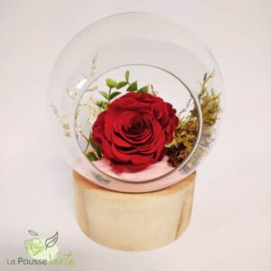Rose éternelle bulle sur bois