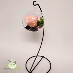 Rose Eternelle suspendue