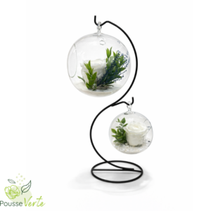 Rose Eternelle double  suspendue