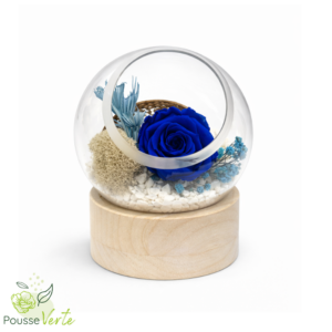 Rose éternelle bulle sur bois