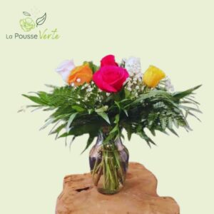 Les 6 roses de couleurs