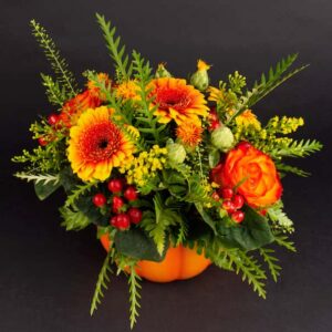 Citrouille d'automne