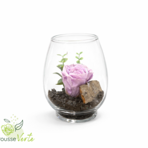 Rose éternelle dans un vase