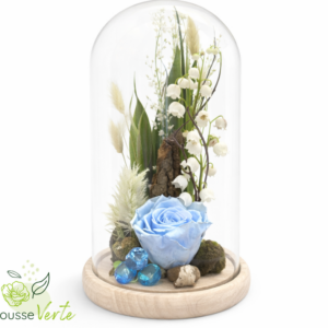 Rose éternelle dôme une rose