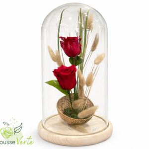 Rose éternelle dôme deux roses