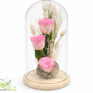 Rose éternelle dôme trois roses