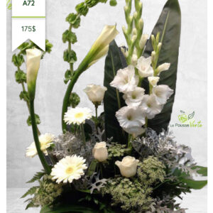 Arrangement A-72