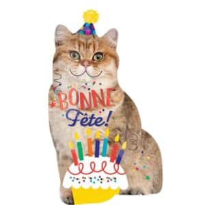 Bonne fête chat