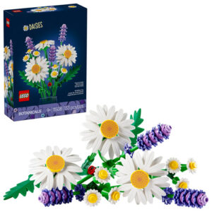 11508 Marguerites