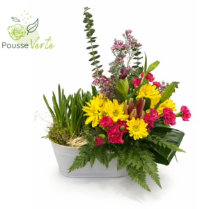 Arrangement floral avec  plante